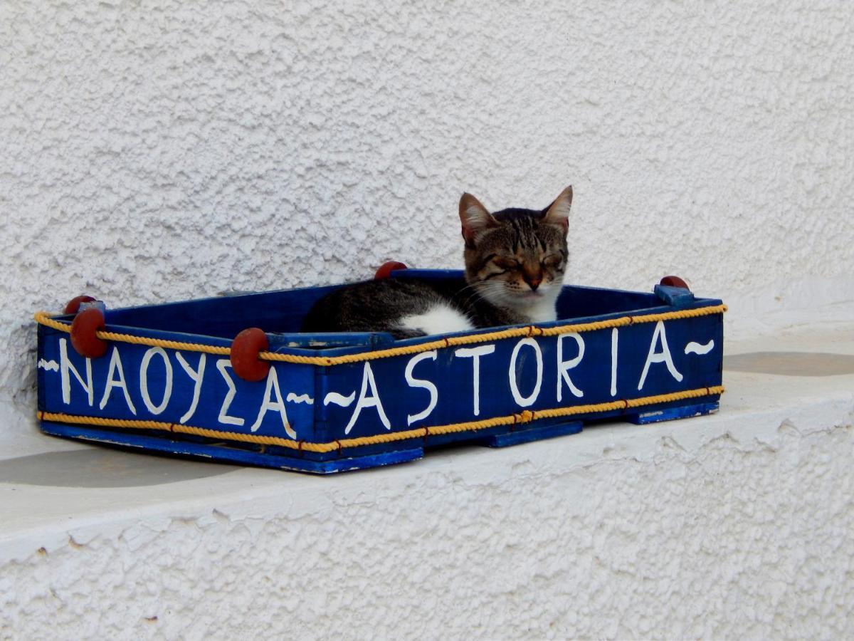 Апартаменти Astoria Paros Науса Екстер'єр фото