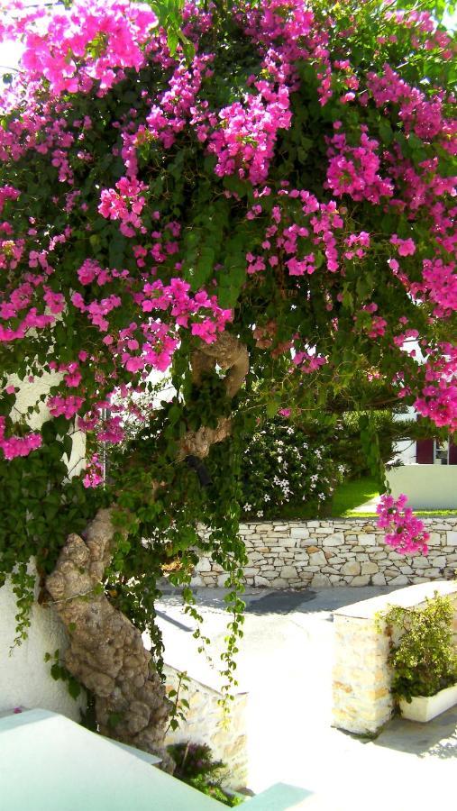 Апартаменти Astoria Paros Науса Екстер'єр фото